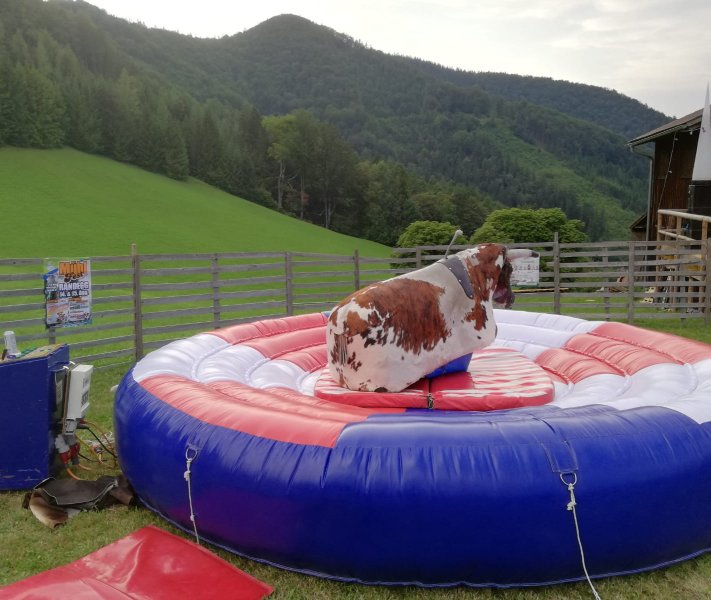 Bull-Riding