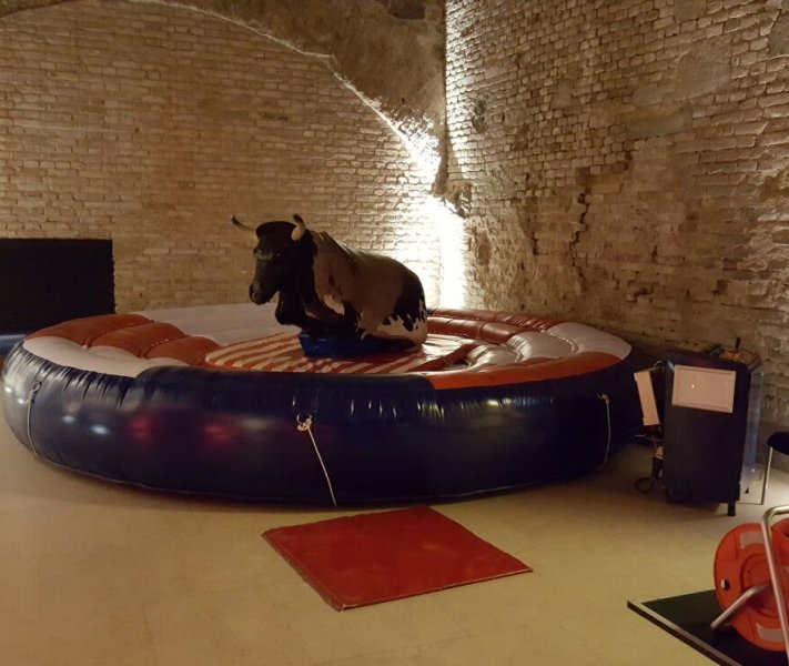Bull-Riding