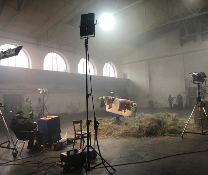 Bull-Riding