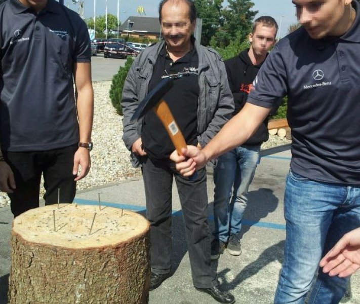 Holzstocknageln