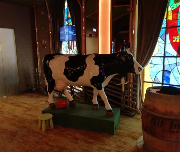 Melkkuh